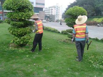 園林綠化施工、養(yǎng)護(hù),草皮銷售及種植,園區(qū)、市政等改造工程