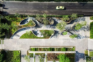 建筑長(zhǎng)得丑,全靠樹來湊