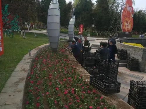 城市建設(shè)中心 全力推進(jìn)春季園林綠化工作