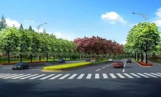 今天起,建筑路改擴(kuò)建工程正式開始施工 繞行路線提前規(guī)劃起來