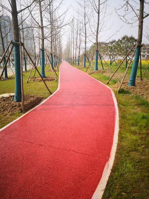 丹陽小區(qū)道路施工哪個(gè)好