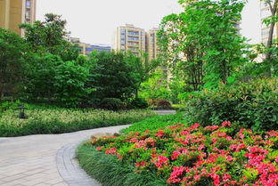 淺談社區(qū)園林綠化的養(yǎng)護(hù)管理,好養(yǎng)護(hù)讓綠化更美麗