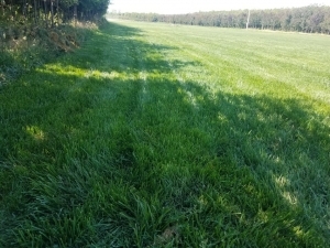 哈爾濱園林樹木,哈爾濱花卉,哈爾濱園藝_壹佰業(yè)