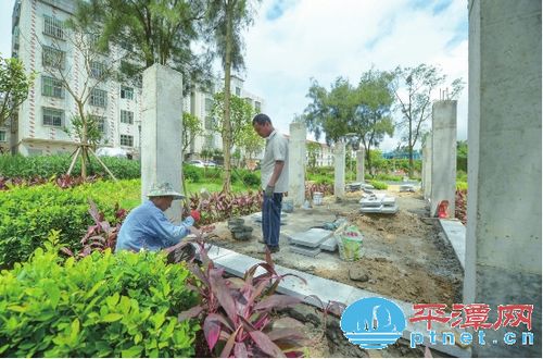 平潭東門社區(qū)綠化改造 雞棚鴨舍變成了公園