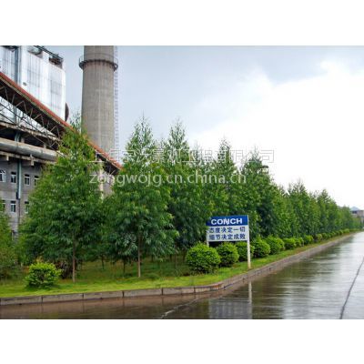 景觀設(shè)計_園林綠化_綠化養(yǎng)護_苗樹銷售&ndash;【上海宗沃景觀工程】