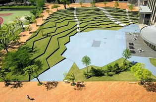 東莞別墅園林綠化設計施工 承包工廠 學校 政府道路綠化養(yǎng)護剪枝