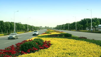 綠動磁州，健行未來 八項重點工程繪就園林縣城新畫卷